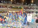 DSCN1608 * 2272 x 1704 * (1.29MB)